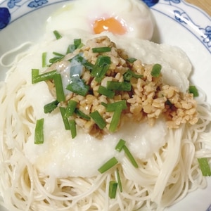 とろろ納豆のぶっかけ素麺♪